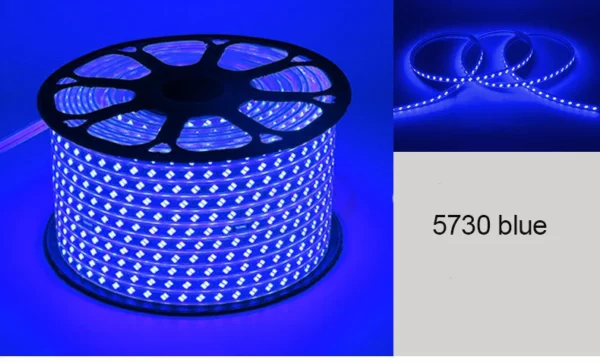 1 - High Voltage Outdoor waterproof 220v SMD 5730 Warm white Color RGB Led Strip Light 100m/roll for home decoration