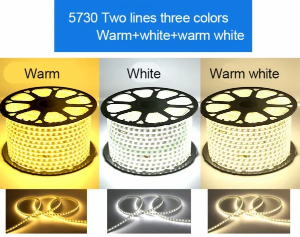 7 - High Voltage Outdoor waterproof 220v SMD 5730 Warm white Color RGB Led Strip Light 100m/roll for home decoration